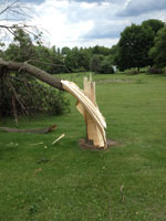 June 12th, 2012 tornado damage