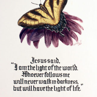 John 8:12 - Calligraphy with butterfly